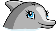 Aquaduck dolphin