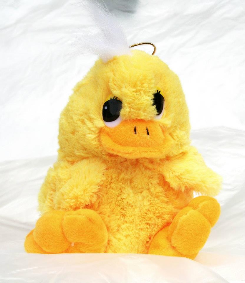 Aquaduck The Fluffy Duck